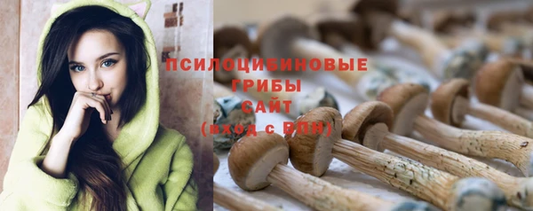 эйфоретик Белокуриха