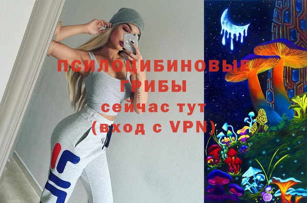 эйфоретик Белокуриха