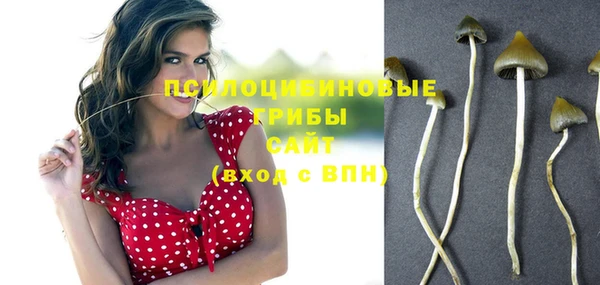 синтетический гашиш Беломорск